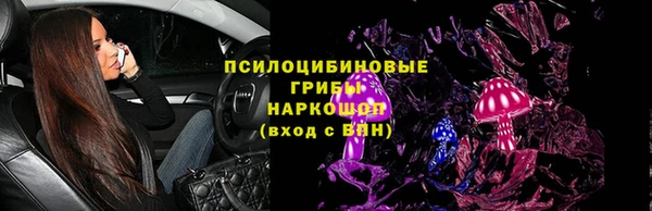 шишки Осинники