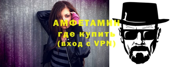 шишки Осинники