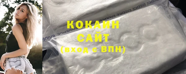 шишки Осинники