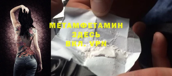 шишки Осинники