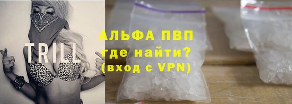 стаф Осташков