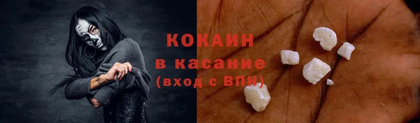 шишки Осинники