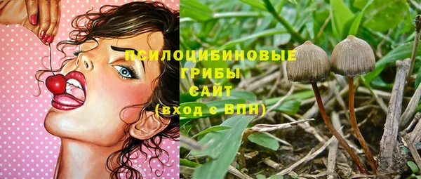 стаф Осташков