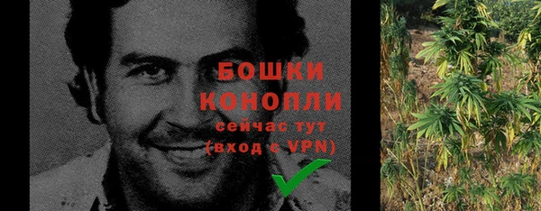 стаф Осташков