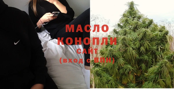 шишки Осинники