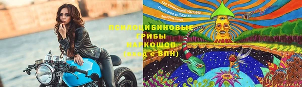 стаф Осташков