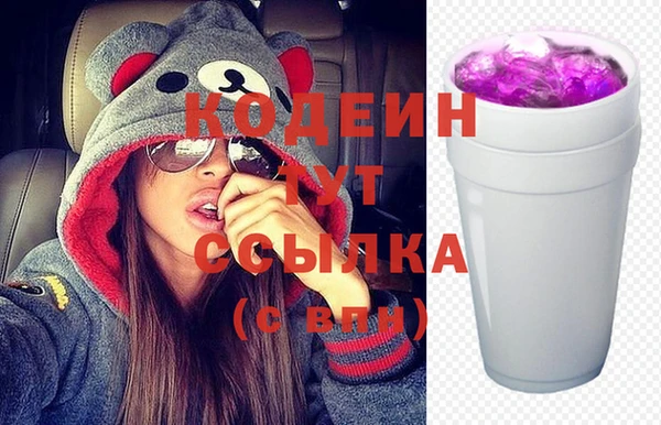шишки Осинники