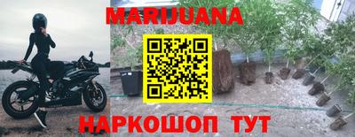 прущие грибы Балаково