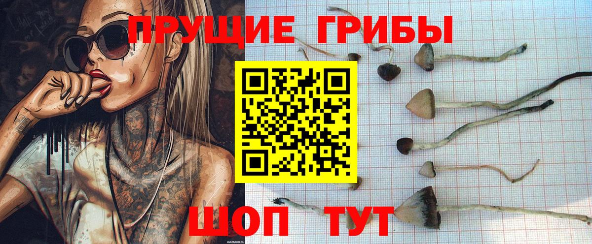 Галлюциногенные грибы мухоморы Тюмень