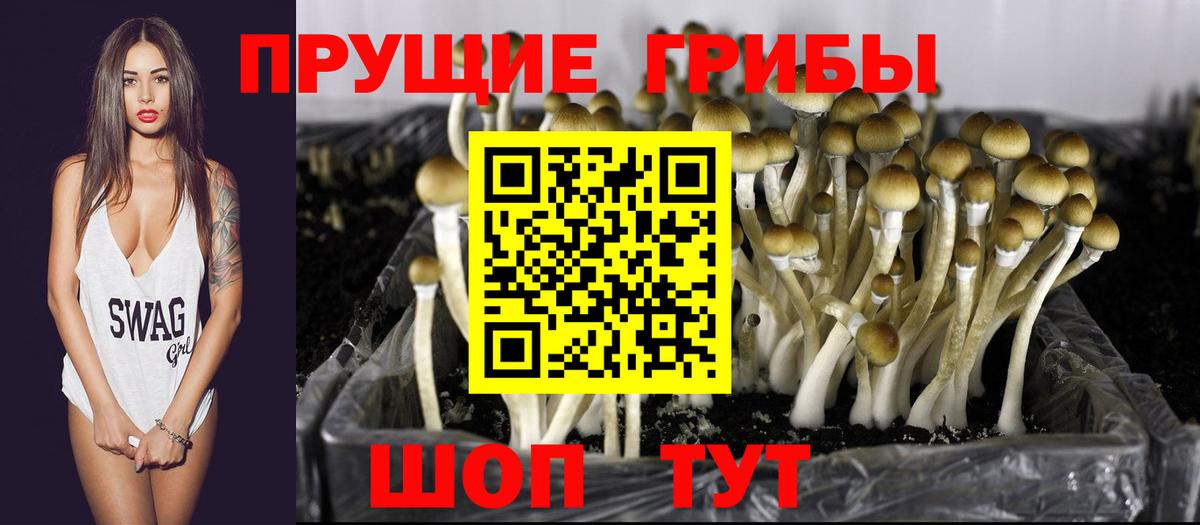 Псилоцибиновые грибы MAGIC MUSHROOMS  Вход с VPN  Тюмень 