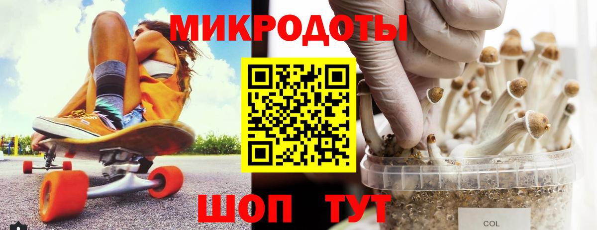 Галлюциногенные грибы Psilocybine cubensis Тюмень